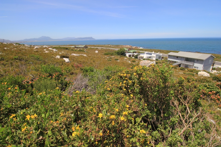 0 Bedroom Property for Sale in Bettys Bay Western Cape